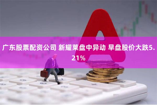 广东股票配资公司 新耀莱盘中异动 早盘股价大跌5.21%