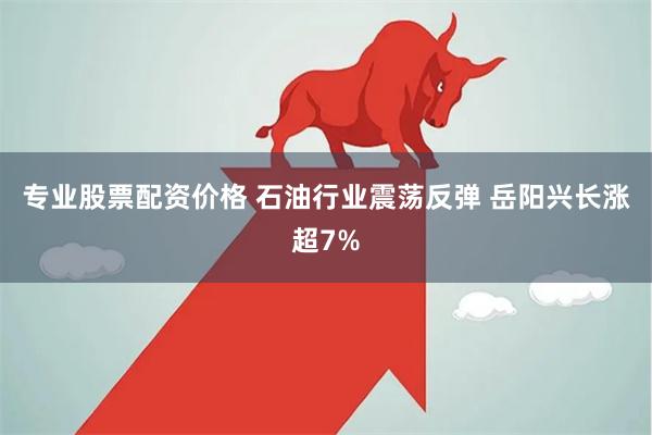 专业股票配资价格 石油行业震荡反弹 岳阳兴长涨超7%