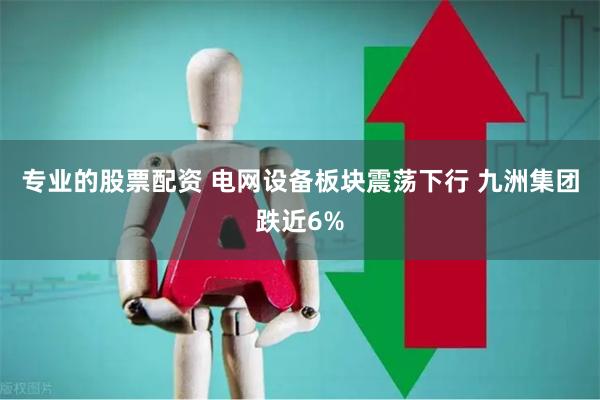 专业的股票配资 电网设备板块震荡下行 九洲集团跌近6%