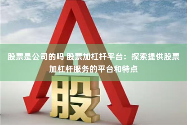 股票是公司的吗 股票加杠杆平台：探索提供股票加杠杆服务的平台和特点