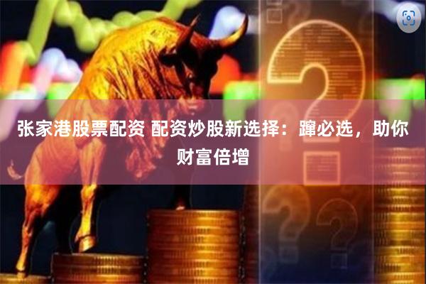 张家港股票配资 配资炒股新选择：蹿必选，助你财富倍增