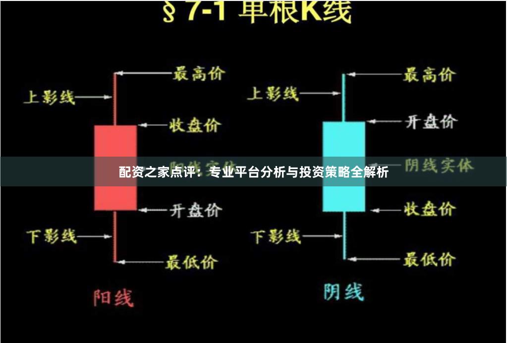 配资之家点评：专业平台分析与投资策略全解析